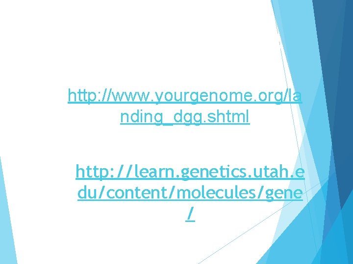 Animations http: //www. yourgenome. org/la nding_dgg. shtml http: //learn. genetics. utah. e du/content/molecules/gene /