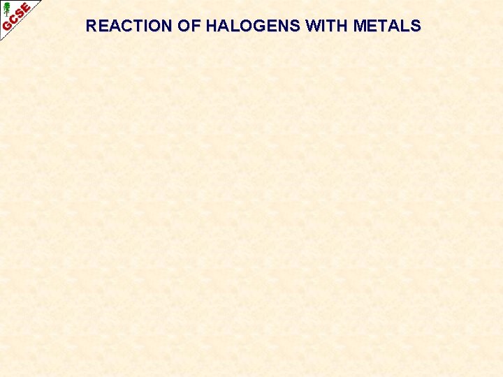 REACTION OF HALOGENS WITH METALS REACTION OF HALOGENS WITH METALS