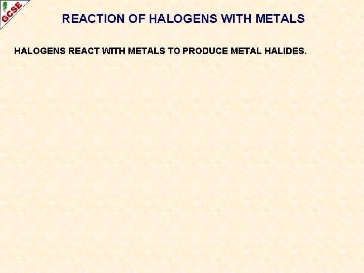 REACTION OF HALOGENS WITH METALS HALOGENS REACT WITH METALS TO PRODUCE METAL HALIDES. REACTION OF HALOGENS WITH METALS HALOGENS REACT WITH METALS TO PRODUCE METAL HALIDES.