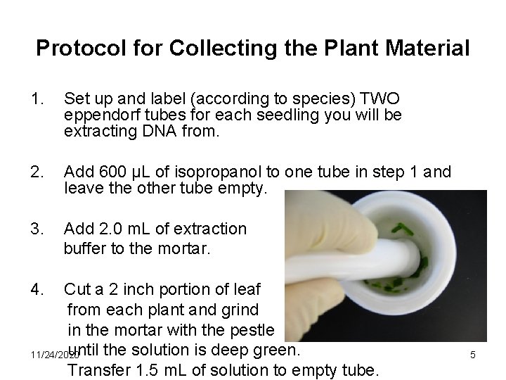 Protocol for Collecting the Plant Material 1. Set up and label (according to species) Protocol for Collecting the Plant Material 1. Set up and label (according to species)