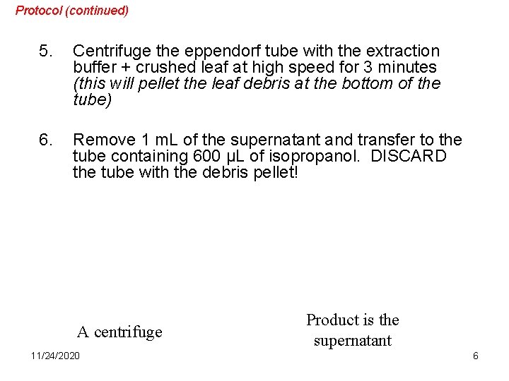 Protocol (continued) 5. Centrifuge the eppendorf tube with the extraction buffer + crushed leaf Protocol (continued) 5. Centrifuge the eppendorf tube with the extraction buffer + crushed leaf