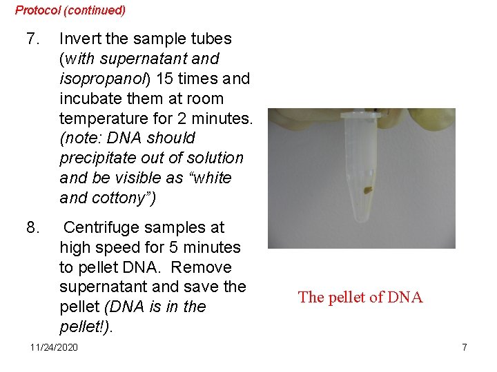 Protocol (continued) 7. Invert the sample tubes (with supernatant and isopropanol) 15 times and Protocol (continued) 7. Invert the sample tubes (with supernatant and isopropanol) 15 times and