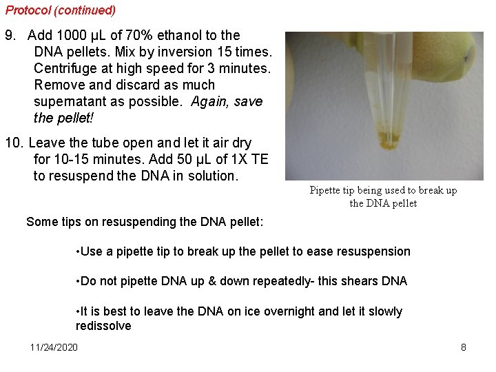 Protocol (continued) 9. Add 1000 µL of 70% ethanol to the DNA pellets. Mix Protocol (continued) 9. Add 1000 µL of 70% ethanol to the DNA pellets. Mix