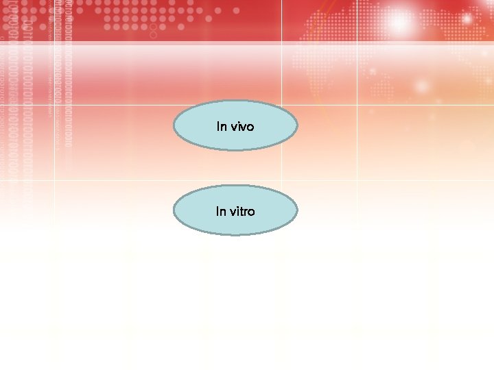 In vivo In vitro 