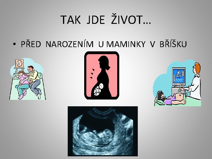 TAK JDE ŽIVOT… • PŘED NAROZENÍM U MAMINKY V BŘÍŠKU TAK JDE ŽIVOT… • PŘED NAROZENÍM U MAMINKY V BŘÍŠKU