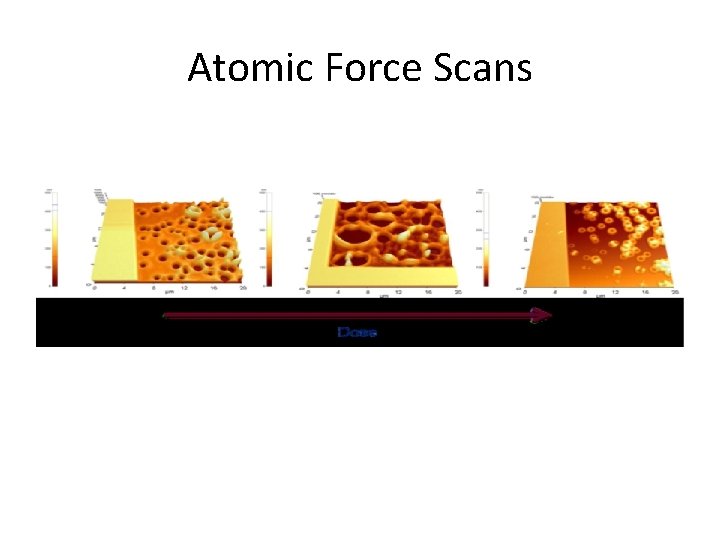 Atomic Force Scans 