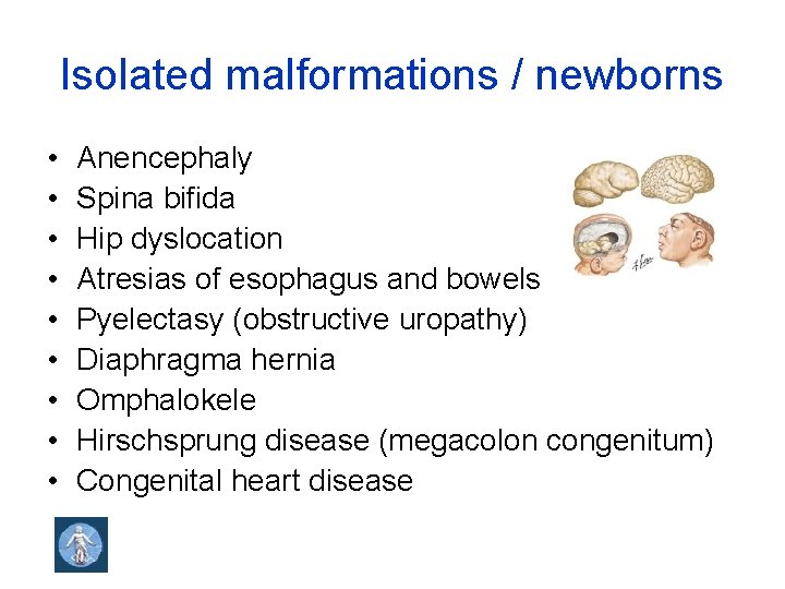 Isolated malformations / newborns • • • Anencephaly Spina bifida Hip dyslocation Atresias of