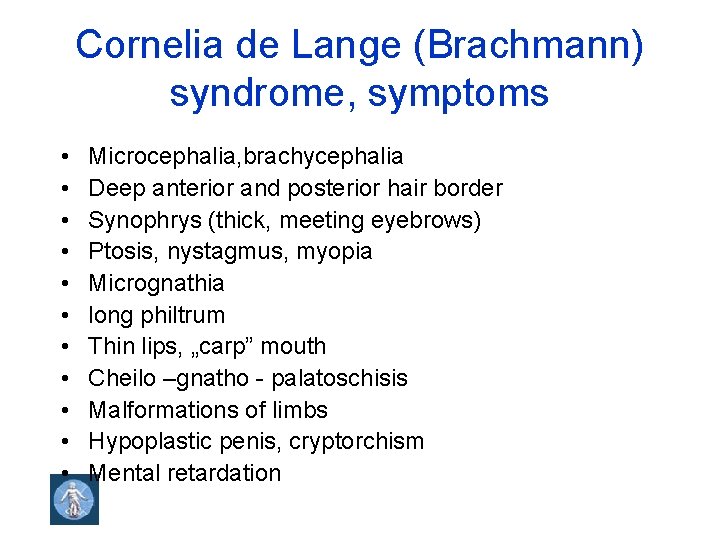 Cornelia de Lange (Brachmann) syndrome, symptoms • • • Microcephalia, brachycephalia Deep anterior and
