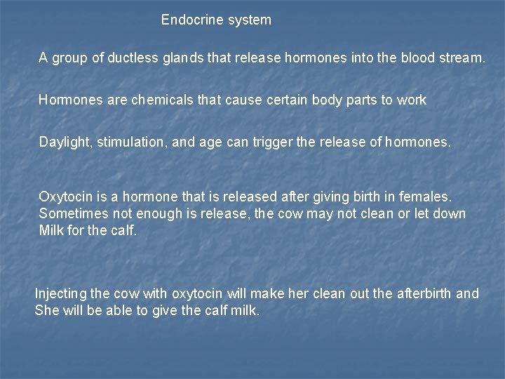 Endocrine system A group of ductless glands that release hormones into the blood stream.