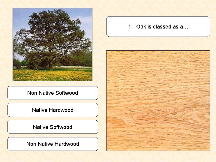 1. Oak is classed as a… Non Native Softwood Native Hardwood Native Softwood Non