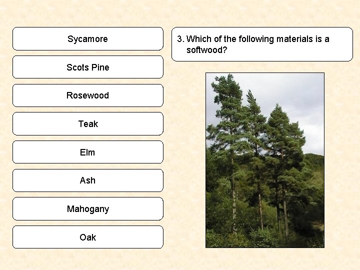Sycamore Scots Pine Rosewood Teak Elm Ash Mahogany Oak 3. Which of the following