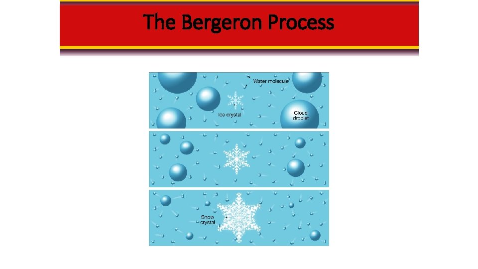 The Bergeron Process 