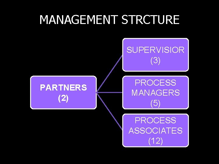MANAGEMENT STRCTURE SUPERVISIOR (3) PARTNERS (2) PROCESS MANAGERS (5) PROCESS ASSOCIATES (12) 