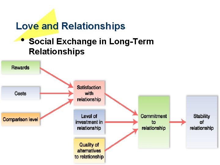 Love and Relationships • Social Exchange in Long-Term Relationships 