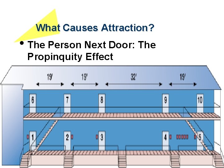 What Causes Attraction? • The Person Next Door: The Propinquity Effect 