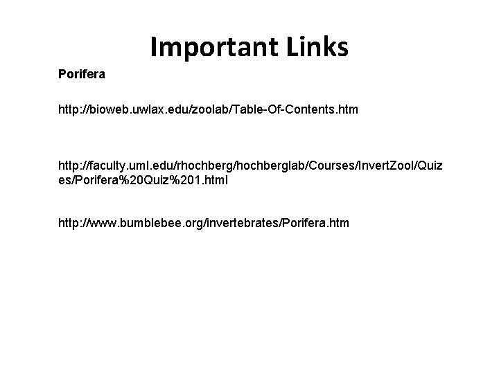 Important Links Porifera http: //bioweb. uwlax. edu/zoolab/Table-Of-Contents. htm http: //faculty. uml. edu/rhochberg/hochberglab/Courses/Invert. Zool/Quiz es/Porifera%20 Important Links Porifera http: //bioweb. uwlax. edu/zoolab/Table-Of-Contents. htm http: //faculty. uml. edu/rhochberg/hochberglab/Courses/Invert. Zool/Quiz es/Porifera%20