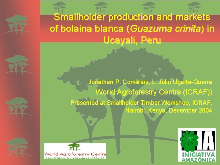 Smallholder production and markets of bolaina blanca (Guazuma crinita) in Ucayali, Peru Jonathan P.