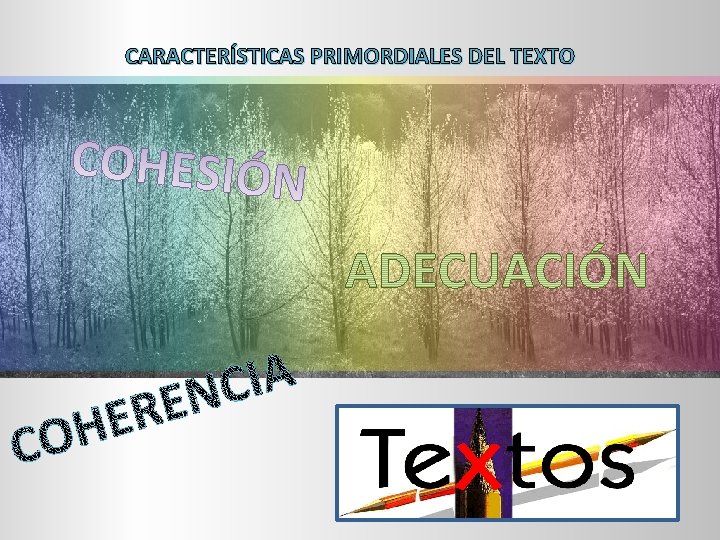 CARACTERÍSTICAS PRIMORDIALES DEL TEXTO 