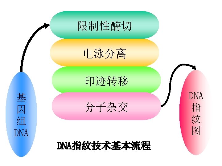 tel 0871 65922837 13769175605 email bingyingxu126 com examples