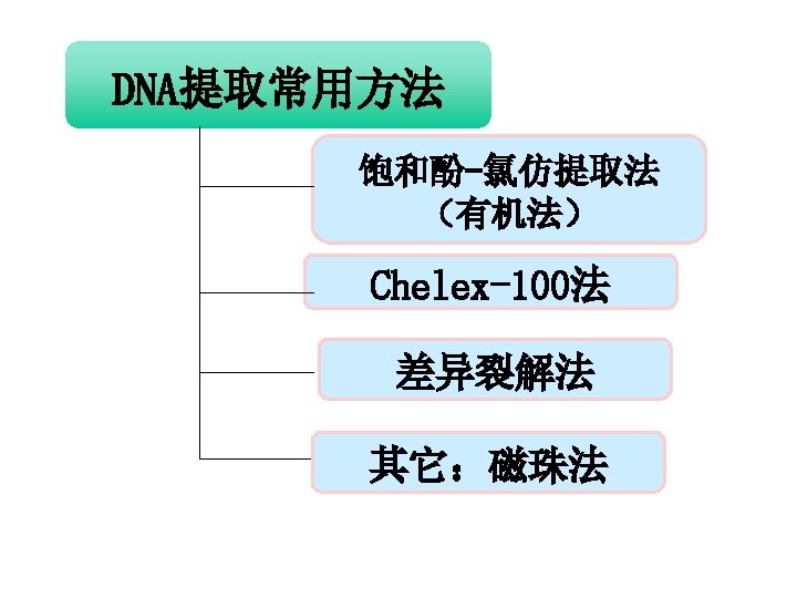 tel 0871 65922837 13769175605 email bingyingxu126 com examples