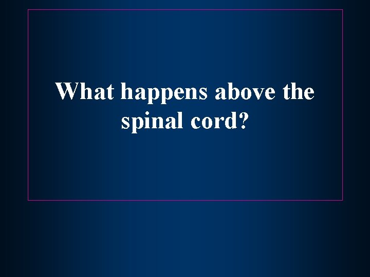 What happens above the spinal cord? 