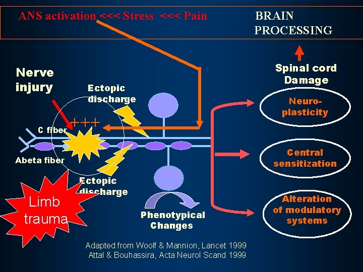 ANS activation <<< Stress <<< Pain <<< Nerve injury C fiber Spinal cord Damage