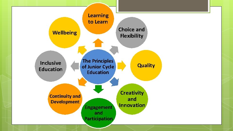 Learning to Learn Choice and Flexibility Wellbeing Inclusive Education Continuity and Development The Principles