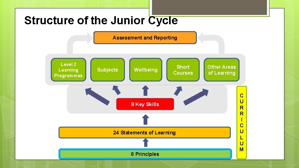 Structure of the Junior Cycle Assessment and Reporting Level 2 Learning Programmes Subjects Wellbeing