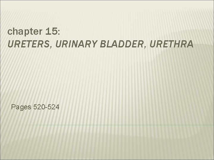 chapter 15: URETERS, URINARY BLADDER, URETHRA Pages 520 -524 