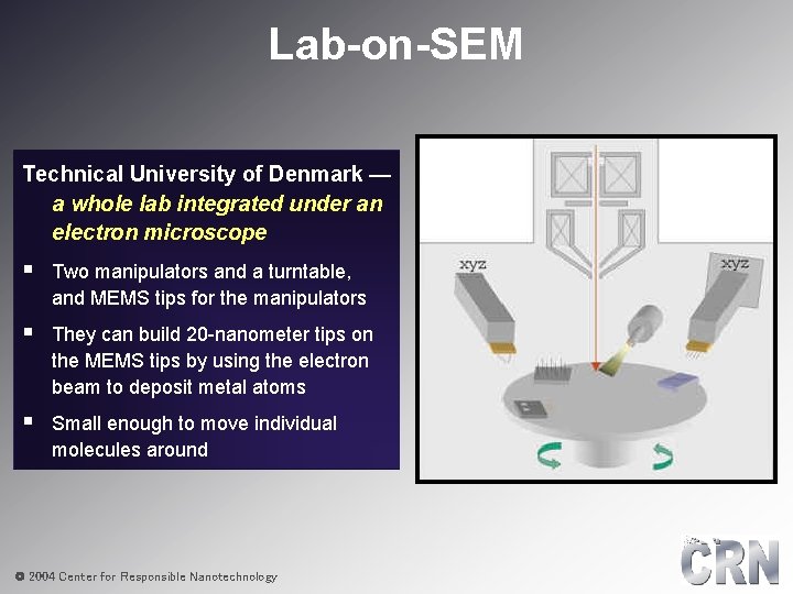 Lab-on-SEM Technical University of Denmark — a whole lab integrated under an electron microscope