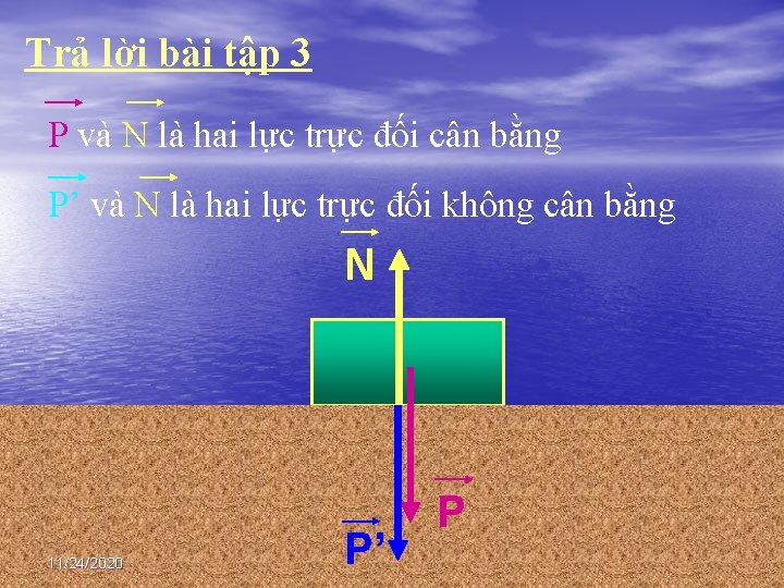 Trả lời bài tập 3 P và N là hai lực trực đối cân