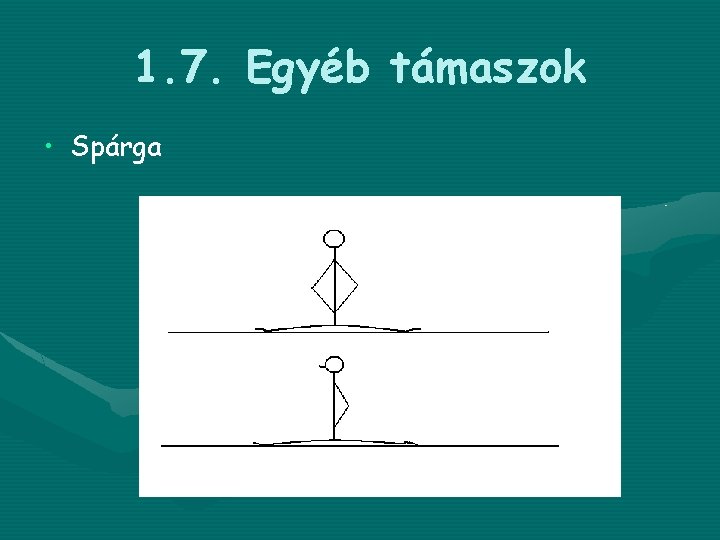 1. 7. Egyéb támaszok • Spárga 