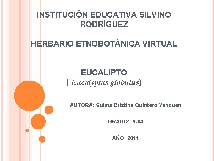 INSTITUCIÓN EDUCATIVA SILVINO RODRÍGUEZ HERBARIO ETNOBOTÁNICA VIRTUAL EUCALIPTO ( Eucalyptus globulus) AUTORA: Sulma Cristina