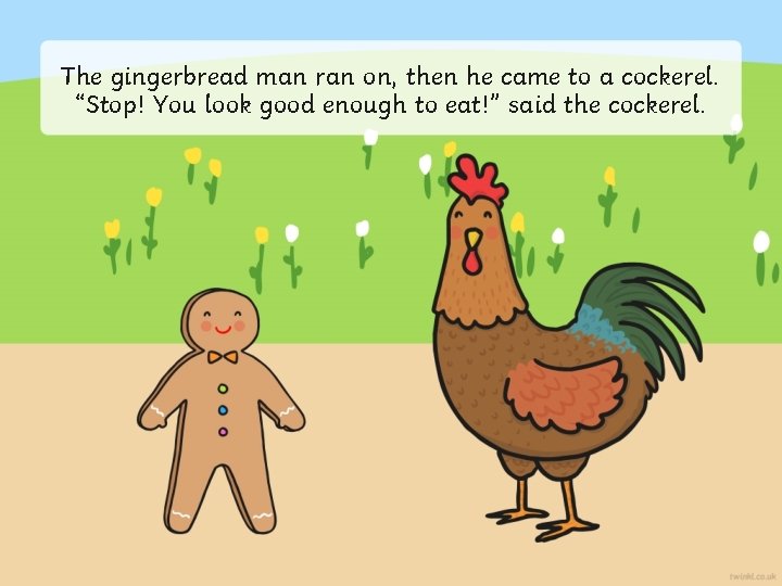 The gingerbread man ran on, then he came to a cockerel. “Stop! You look