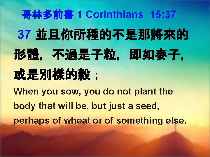 哥林多前書 1 Corinthians 15: 37 37 並且你所種的不是那將來的 形體，不過是子粒，即如麥子， 或是別樣的穀； When you sow, you do