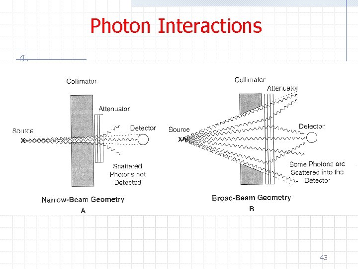 Photon Interactions 43 