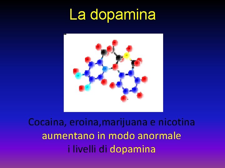 La dopamina Cocaina, eroina, marijuana e nicotina aumentano in modo anormale i livelli di