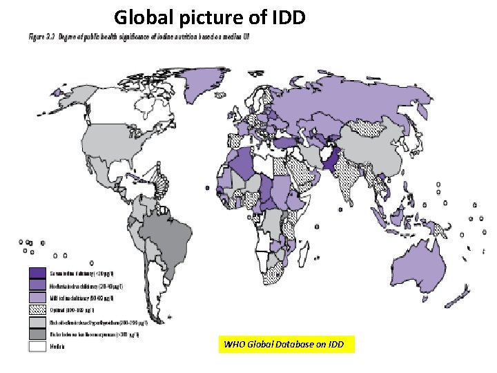 Global picture of IDD WHO Global Database on IDD 