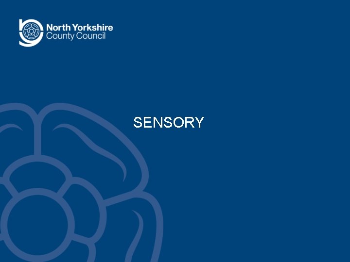 SENSORY SENSORY
