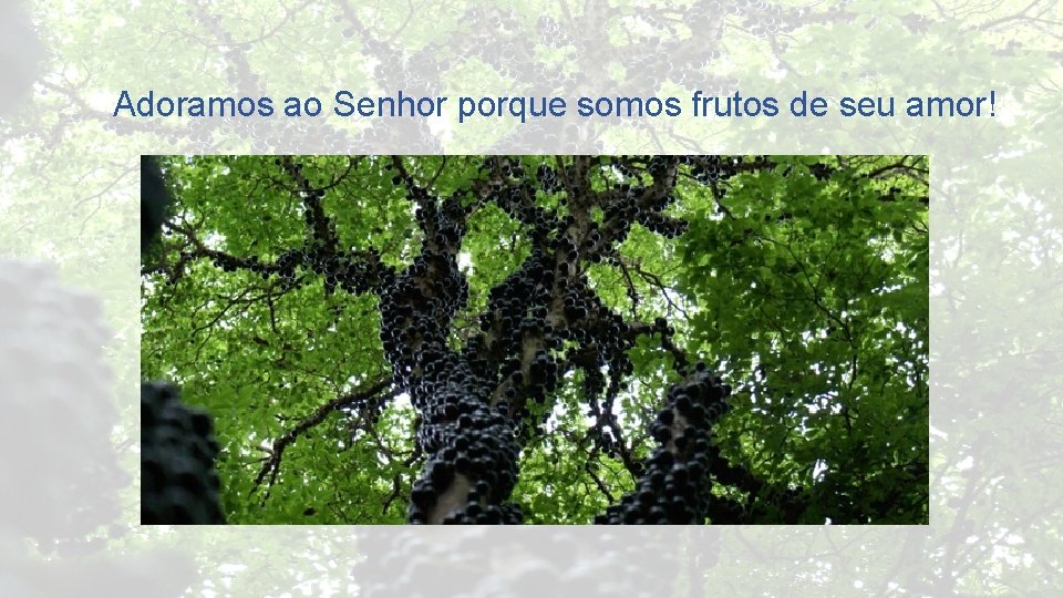 Adoramos ao Senhor porque somos frutos de seu amor! 