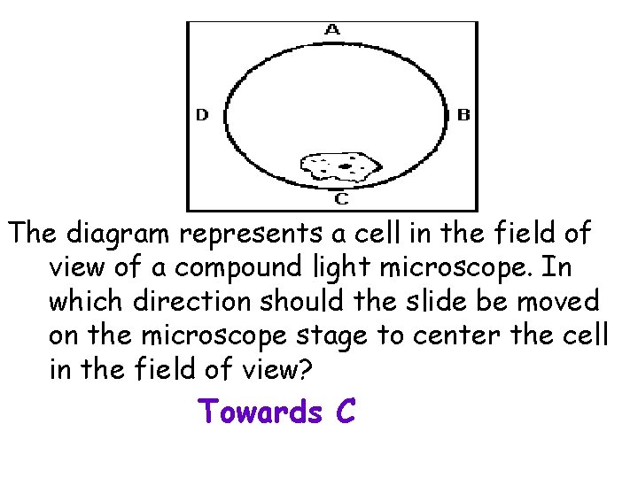 The diagram represents a cell in the field of view of a compound light