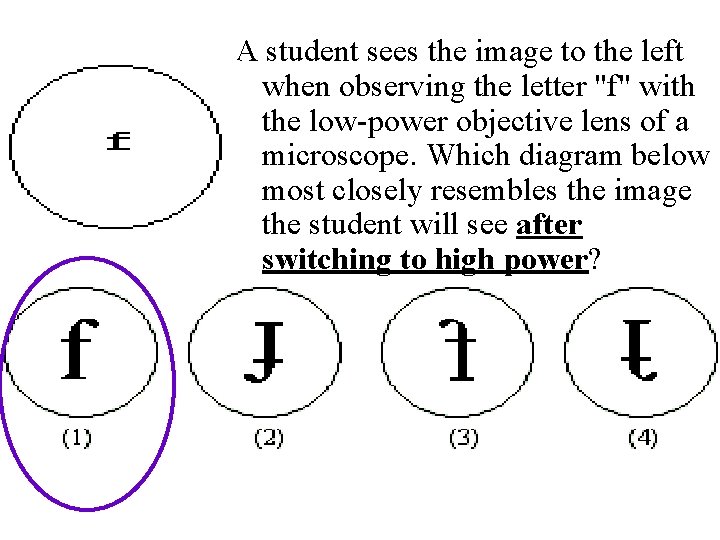 A student sees the image to the left when observing the letter "f" with