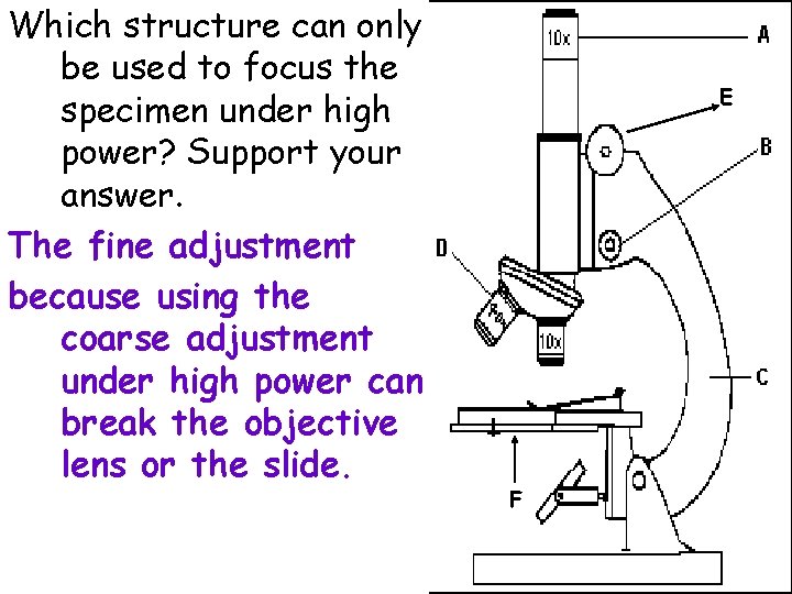 Which structure can only be used to focus the specimen under high power? Support