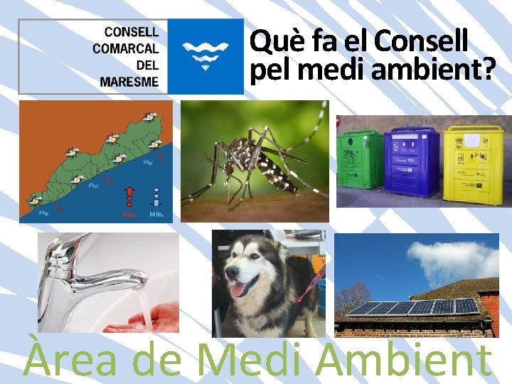 Què fa el Consell pel medi ambient? Àrea de Medi Ambient 