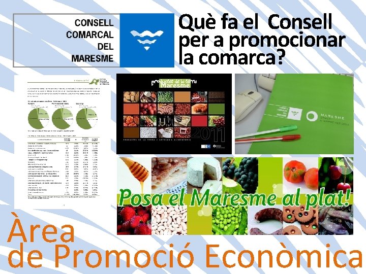 Què fa el Consell per a promocionar la comarca? Àrea de Promoció Econòmica 