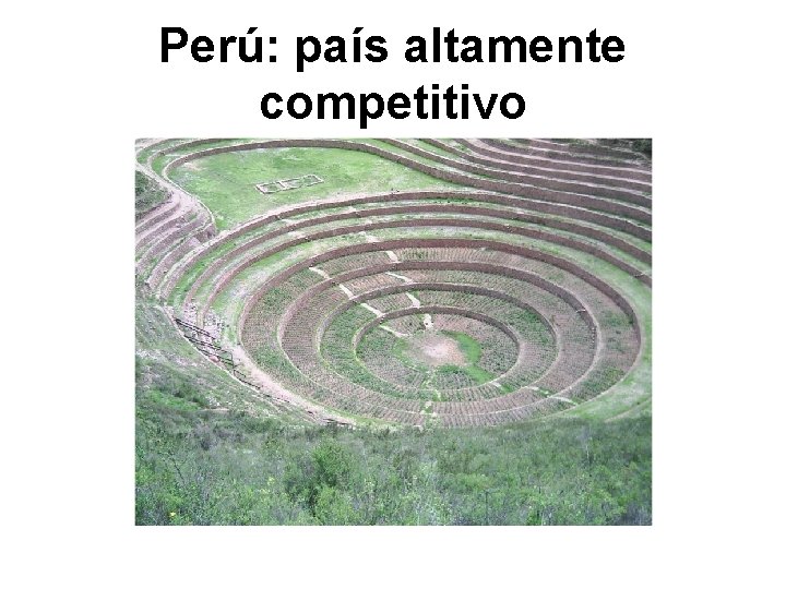 Perú: país altamente competitivo 
