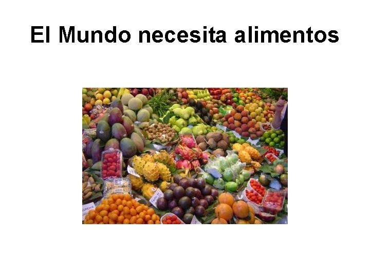 El Mundo necesita alimentos 