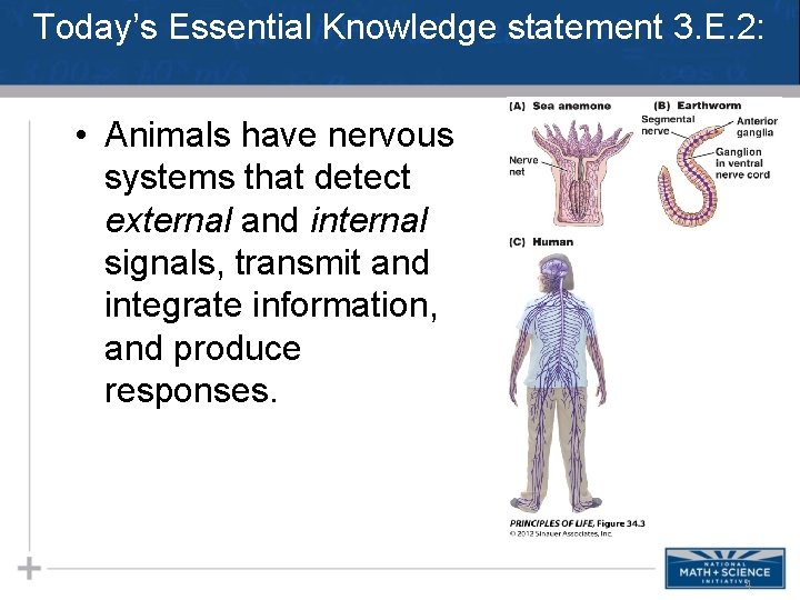 Today’s Essential Knowledge statement 3. E. 2: • Animals have nervous systems that detect