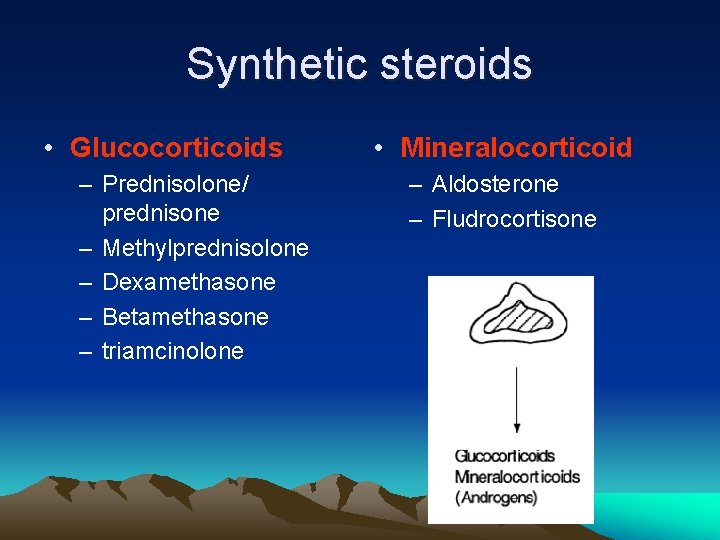 Synthetic steroids • Glucocorticoids – Prednisolone/ prednisone – Methylprednisolone – Dexamethasone – Betamethasone –