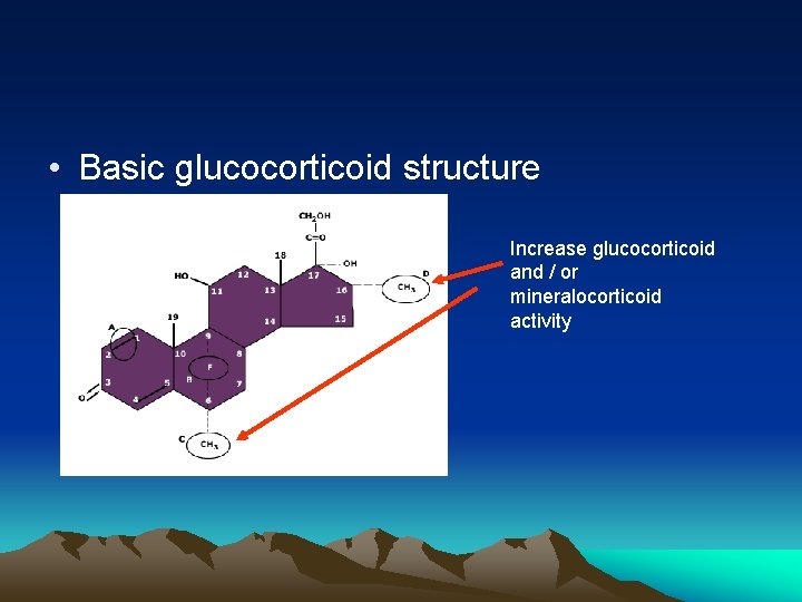  • Basic glucocorticoid structure Increase glucocorticoid and / or mineralocorticoid activity 